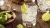 11-Gin-Brands-That-Promise-To-Delight-Your-Senses---NDTV-Food-s-Recommendations